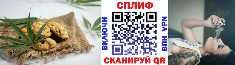 Купить закладки  Вилючинск  Canna-Cookies марихуана 