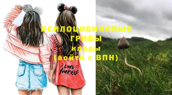 прущая мука Зеленокумск