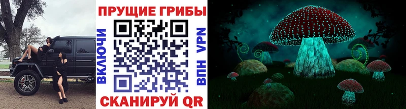 Купить где  Вилючинск  Псилоцибиновые грибы GOLDEN TEACHER 